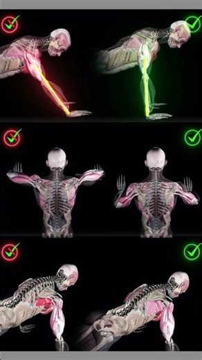 👉 Perfect Push Ups in 3D 🔥 !! #shorts #ytshorts #theformcoach