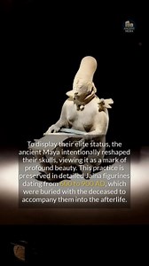 The ancient Maya reshaped skulls as a symbol of elite beauty; what other cultures had similar ideals? #ancienthistory #archaeology | Ancient Media