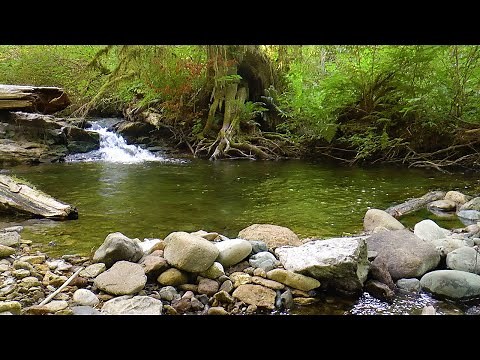 Nature Therapy: 10 Hours of a Blissful Babbling Brook & Running Water Sounds For Sleep