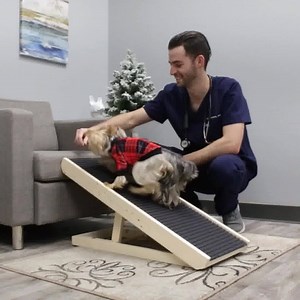 13 reactions | Protect your pup from jumping related injuries with...