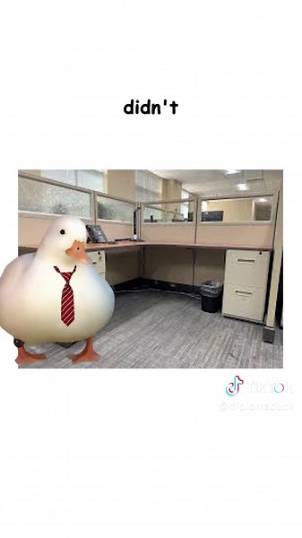 Growing Up Explained by Ducks