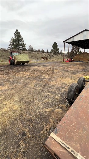 Loading Hay at Diamond H Ranch: A Day of Hard Work