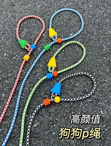 Pet Leash - Etsy UK