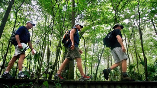 Florida state parks face $759 million backlog of needed repairs, state report finds