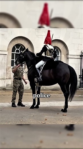 Something Was Wrong With This Royal Guard’s Horse