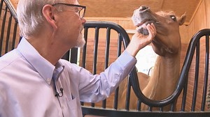 Georgia doctor who treats cancer patients says horses helped him beat cancer