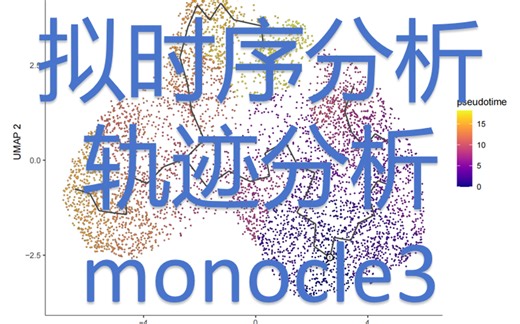 21. 手把手教学拟时序分析，轨迹分析，monocle3，单细胞数据分析