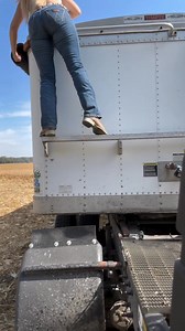 Harvest season full on swing | Daisy Brown