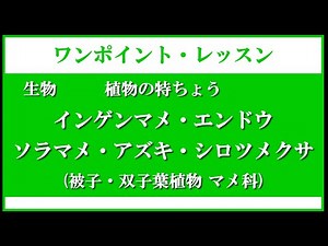 中学 受験 理科 生物 植物の特ちょう インゲンマメ・エンドウ・ソラマメ・アズキ・シロツメクサ（被子植物 双子葉植物 マメ科）