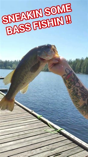 Sneakin in some Lip Rippin during family outing to the lake #anymeansnecessary #fishing #bassfishing