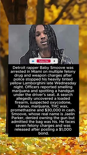 Detroit Rapper Denies the Gun but Admits the Bag #shorts #rapnews #arrest