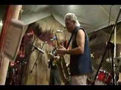 The Lively Ones - Surf Rider