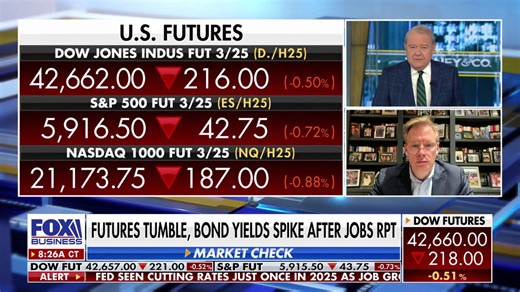 Financial expert reveals updates to large-cap stock picks