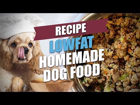 Lowfat Homemade Dog Food Recipe