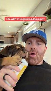 Life with an English bulldog (just wait for it) 😂😂😂 ft. @RavenTheEnglish