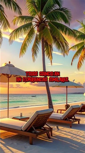 The secret protocol of the Caribbean hotel (4)