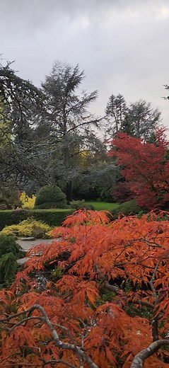 Hamayoun Ali Babur on Reels