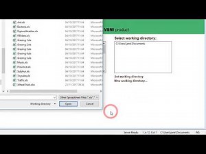 Importing an Excel spreadsheet into Genstat