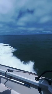 WE ARE HIRING!! 🌊OCEAN LIFEGUARD Ventura County Lifeguard tryouts 🔴WHEN: 8:30 a.m. Saturday, April 29, 2023 🔴WHERE: 3900 Pelican Way, Oxnard- Harbor Patrol 🔴No wetsuits or goggles 🔴Must apply online, link shown below 👉Ideal candidate Outstanding swimmer Endurance skills Ability to remain calm in emergency situation Willing to learn, life-saving and water, safety skills Desire to work in public safety 👉Requirements Must be at least 16 years of age Mandatory training week June 12 to June 16