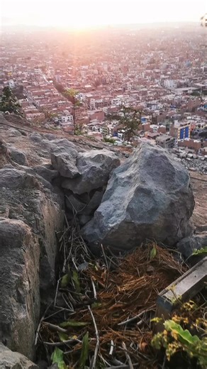 El proyecto forestal Cerro la Milla, va espectacularmente bien 🤩; a la fecha, hemos plantado más de 200 árboles de 26 especies diferentes. ¡Únanse a nuestro equipo de voluntarios y colaboren con nosotros en actividades divertidas y en equipo! Entre las tareas se incluyen: llevar residuos orgánicos, picar roca, trasladar tierra, y realizar mantenimiento de plantas y espacios. Es la oportunidad perfecta para vivir un día diferente, aprender sobre la naturaleza y compartir momentos inolvidables mi