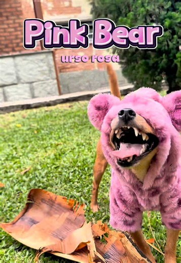 ✅ FACT: Bears. Beets. BATTLESTAR GALACTICA! . . #meme #viral #theofficememes #theoffice #dwightschrute