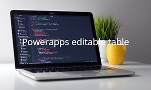 Powerappsで編集可能な表（テーブル）の作り方｜Seek for something.com