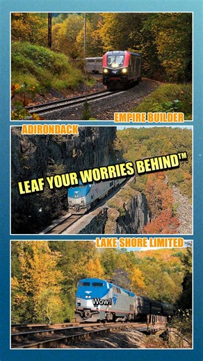 747 reactions · 36 shares | But wait, there’s more…fall foliage on the train! Experience the first day of the season like never before.  | Amtrak | Facebook