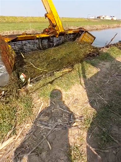 Innovative Outdoor Fishing with an Excavator