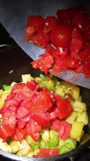 Salmon Catch & Cook – Icelandic Fish Soup