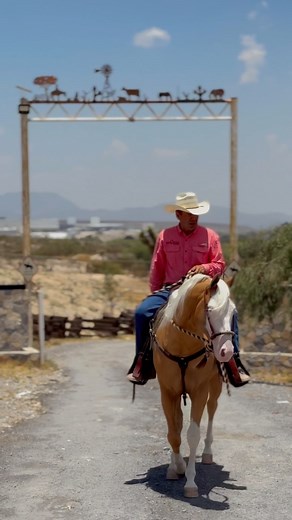 David Alonso - Doma Natural on Reels