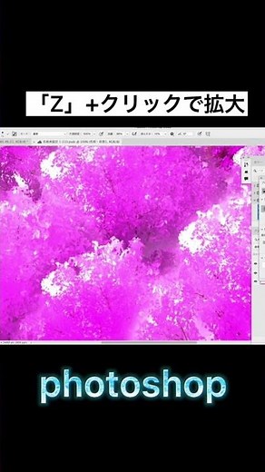 photoshopで使えるショートカットキーで簡単に画面を拡大・縮小する方法
