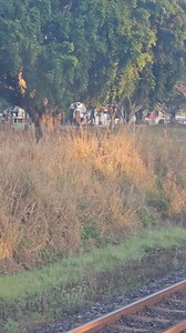 27K views · 67 reactions | BRUCE HWY EXPLOSIONS An Emergency Alert to LEAVE IMMEDIATELY has been issued to Bororen (south of Gladstone). Two explosions involving a chemical truck have now been reported between Daisy Dell Rd and Turkey Beach Rd The Bruce Hwy is closed in both directions and a 2.5km exclusion zone is in place. UPDATES IN COMMENTS  ️ Andrew Burke | Daily Mercury | Facebook