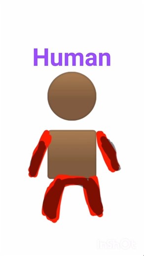 How humans were formed according to islam #Scienyific
