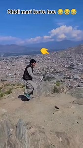 #suru #kiya #pigeon #pigeons #tricks #kabutar #kabutarbazi #shortsvideos #tredingreels @highlight | Aamir Fal Con