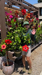 4K views · 79 reactions | Which tropical flower will you add to your...