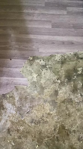 GET YOURS MGA NOW SALE!!! 🛒🛒🛒 #fyp #fypシ #tgfclothing #thegoodfightclothing