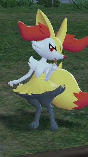 Braixen ❤️❤️❤️