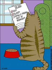 You've Got to Be Kitten Me with the 13 Best Cat Jokes out There