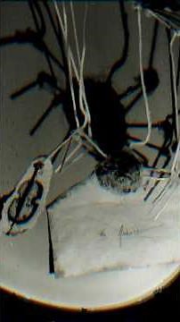 MR. SPIDER... PT 4 #magnusarchives #themagnusarchives #tma #horror #firsttimelistener #jonathansims