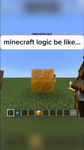 minecraft logic be like🔥 #minecraft