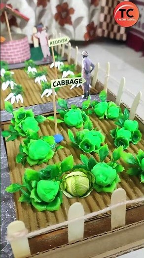 Organic Farming | Kitchen Garden | Static Model #creative #farming #innovation #diyprojects