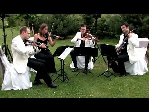 Oasis 'Whatever' - Strelitzia String Quartet