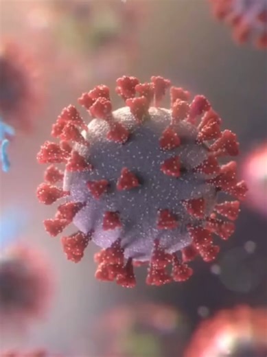 تفشي فيروس نيباه في الهند وتأثيره الدولي