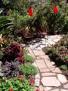 Lawn to Garden Party - learn how to convert your lawn without ripping it out!