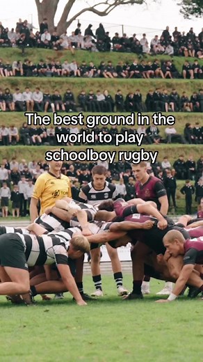 The Ultimate Rugby Experience: Schoolboy Rugby At Its Finest