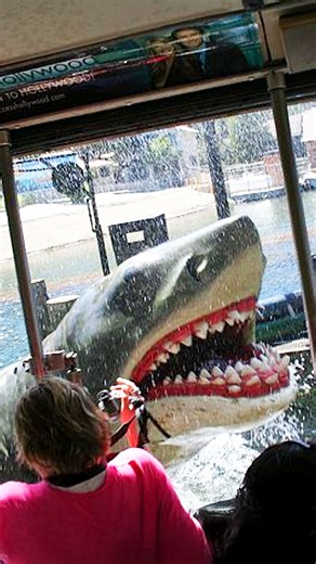 2.6M views · 24K reactions | The real reason this ICONIC ride was shut down forever! The Real Reason Universal Shut Down Its Jaws Ride Forever #universal #universalstudios #jaws #jawsride | Behind The Castle Walls | Facebook