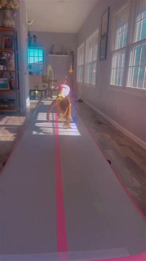 five #fiveyearoldgymnast #level4 #olympi ... | Kynlee The Great