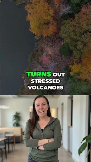 Volcano Warning from Trees? NASA's New Eruption Prediction