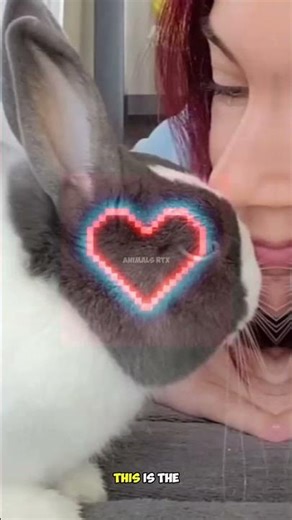 Woman Lets Rabbit Roam Free 🐰