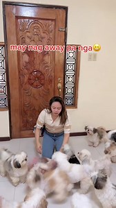 162K views · 7.1K reactions | normal people vs FURPARENT sino relate? | Furmomkhai&the batuta | Facebook